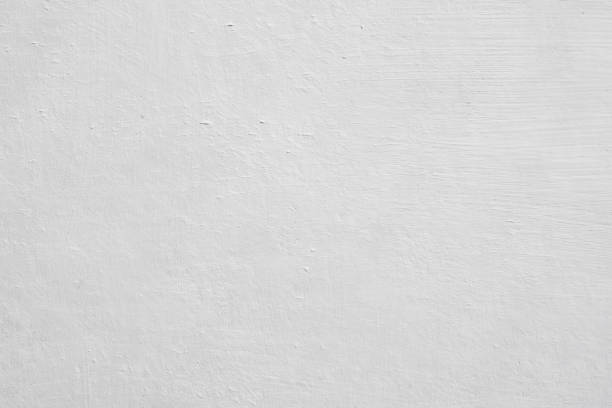 Best Mold Remediation for Vacation Homes  in USA